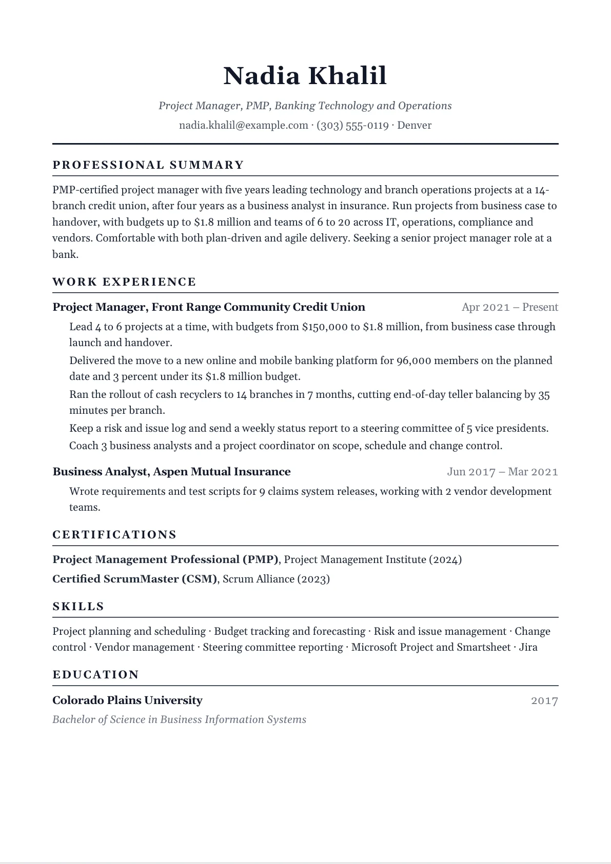 Project manager resume example
